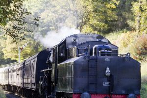 haworth steam october 13 2012 9 sm (2).jpg